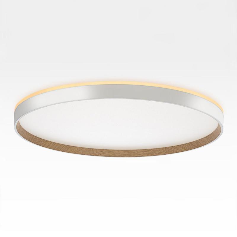 Накладной светильник Citilux Etalon CL750500R