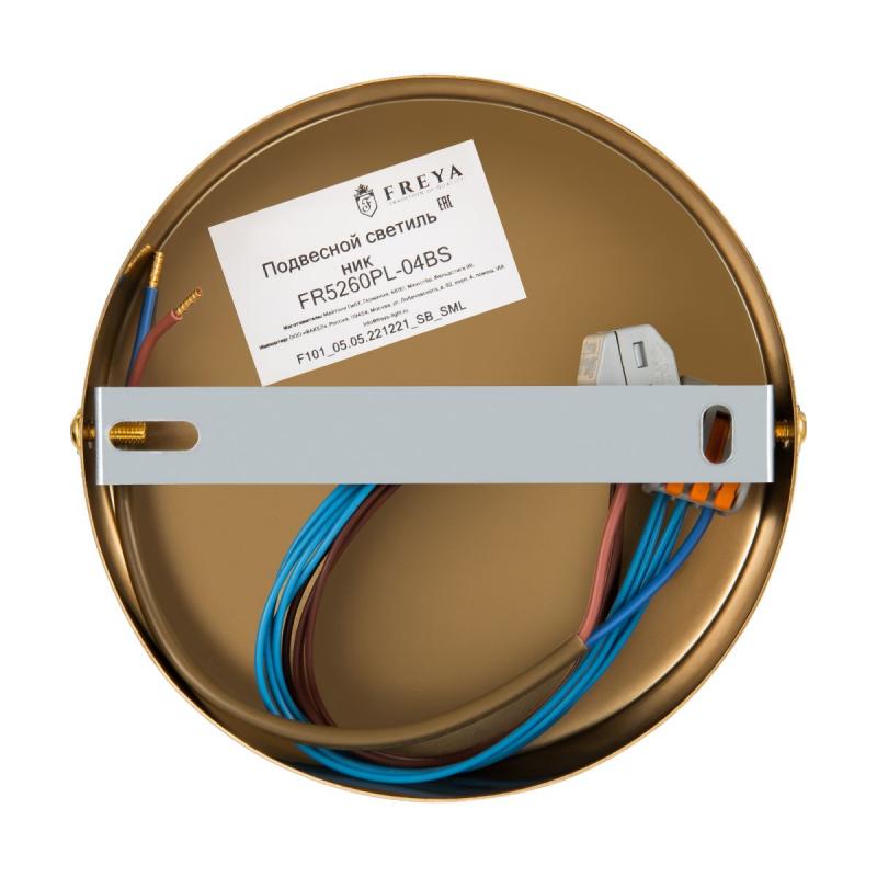 Люстра на штанге Freya Terra FR5260PL-04BS