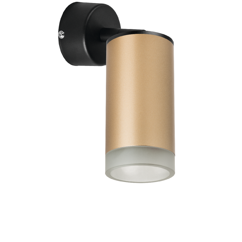 Встраиваемый спот Lightstar Rullo RB44030 (214440+590007+202430)