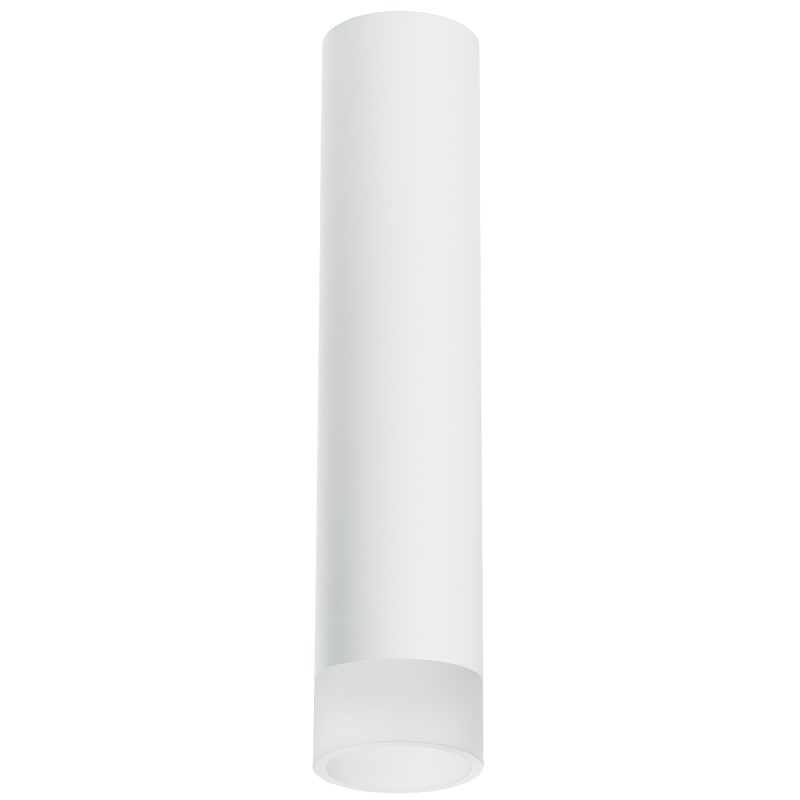 Накладной светильник Lightstar Rullo R49631 (214496+202431)