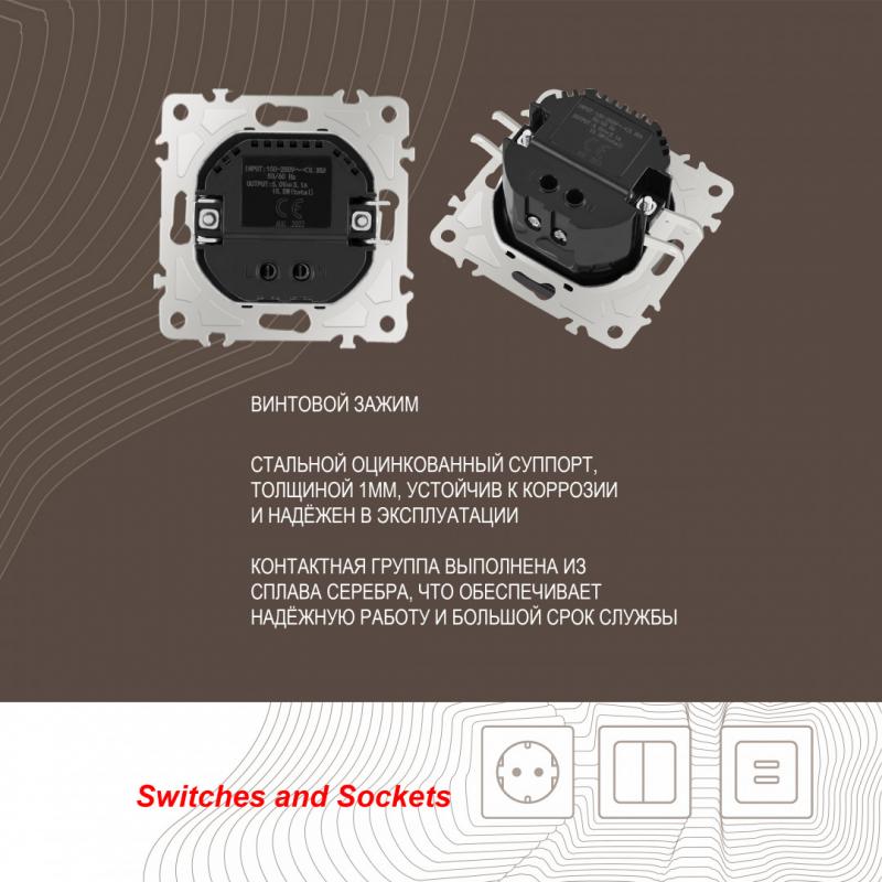 Розетка USB 2.1А+1А Arte Milano 206.46-1.shampan