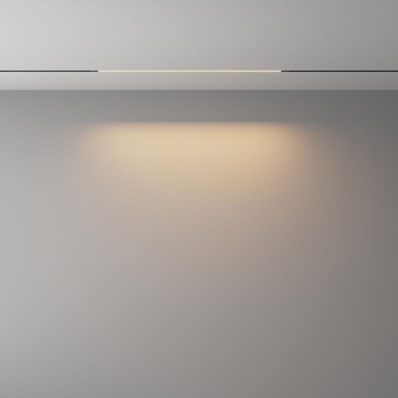 Трековый магнитный светильник Maytoni Technical Basis Exility X TR240-2-12W3K-B