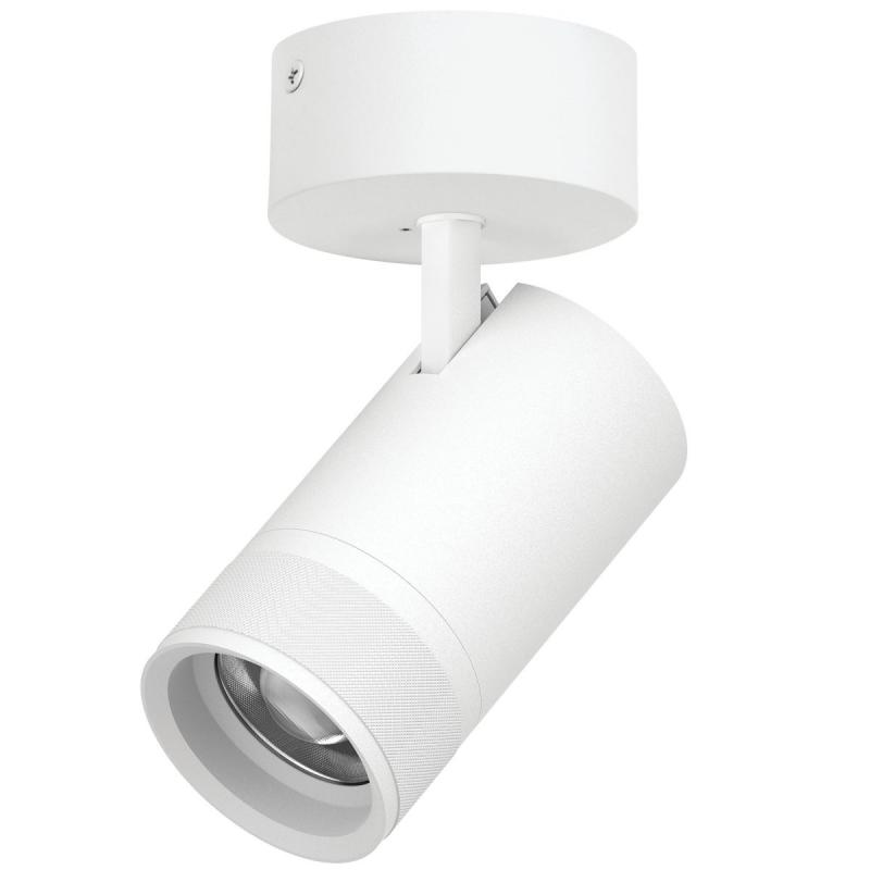 Накладной светильник 20-55G с адаптером Lightstar Canno Pro C4406SO