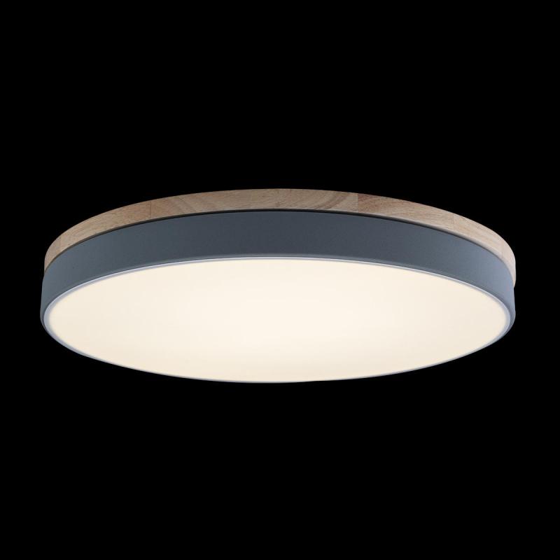 Потолочный светильник Loft IT AXEL 10001/36 Grey